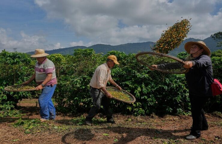Tổng thống Trump dỡ bỏ thuế nhập khẩu 40% đối với cà phê Brazil