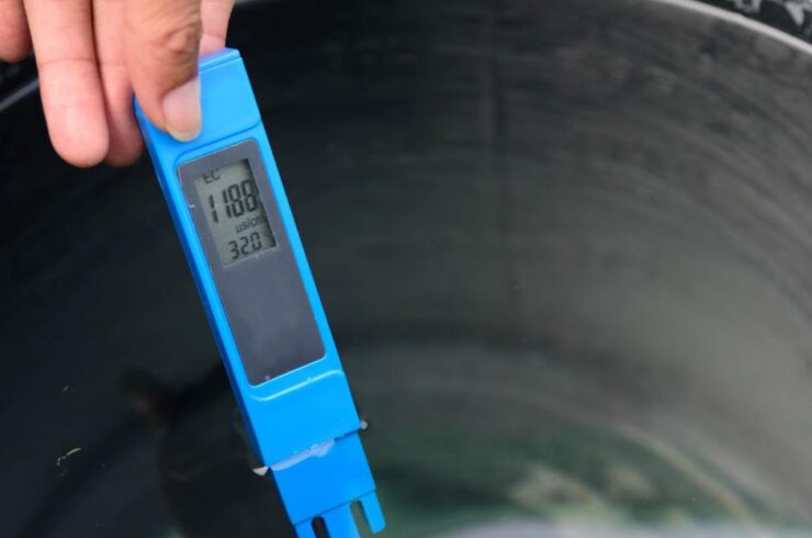 EC phù hợp khi bón phân cà chua: Bao nhiêu là vừa để cây khỏe, sai trái?